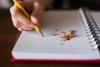 The Pencil